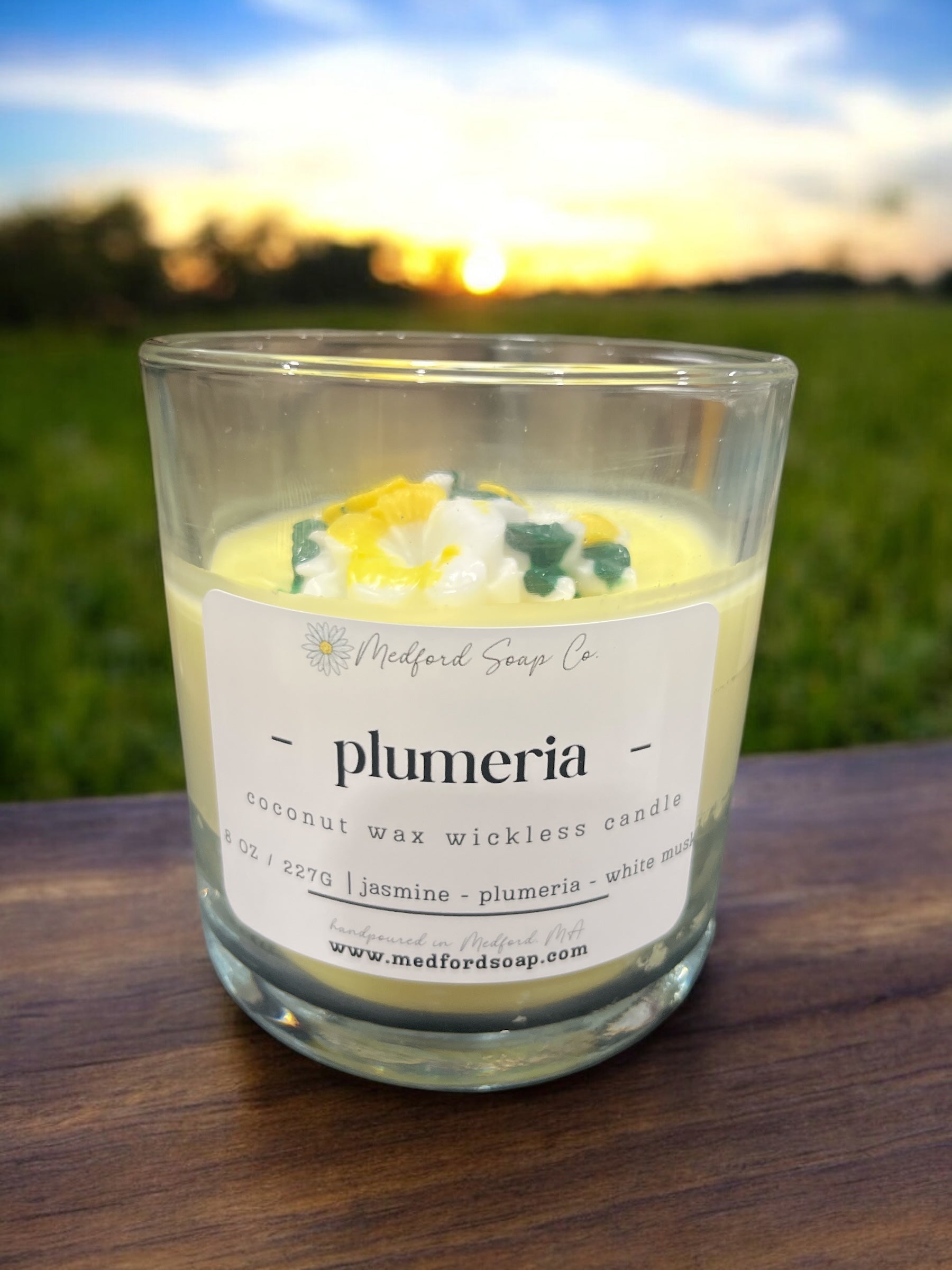 Wickless Candles & Wax Melt Cups