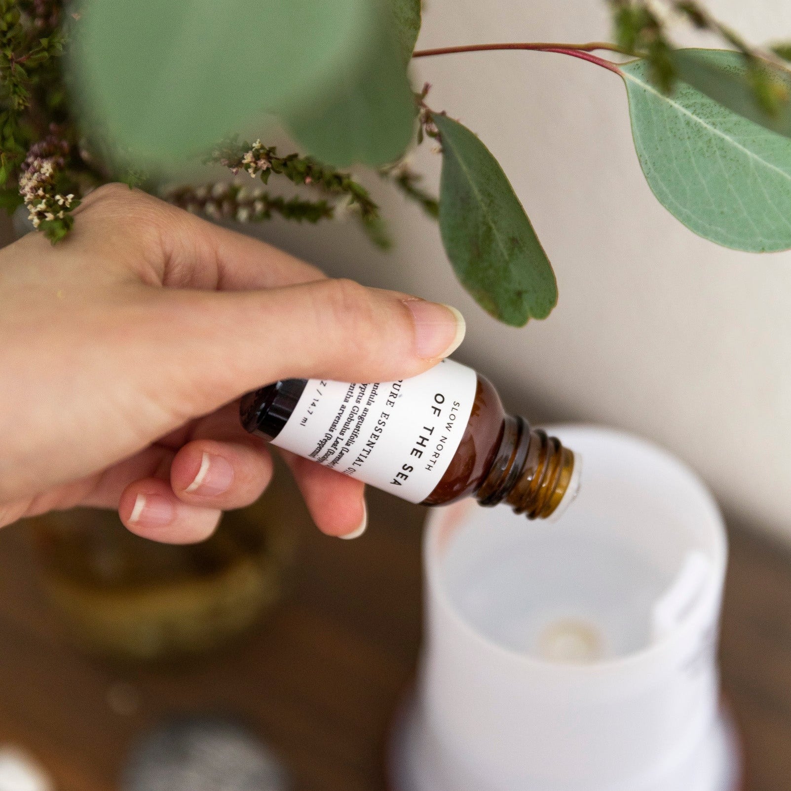 Essential Oil Diffuser Blends Aromatherapy Fragrance Home Collection