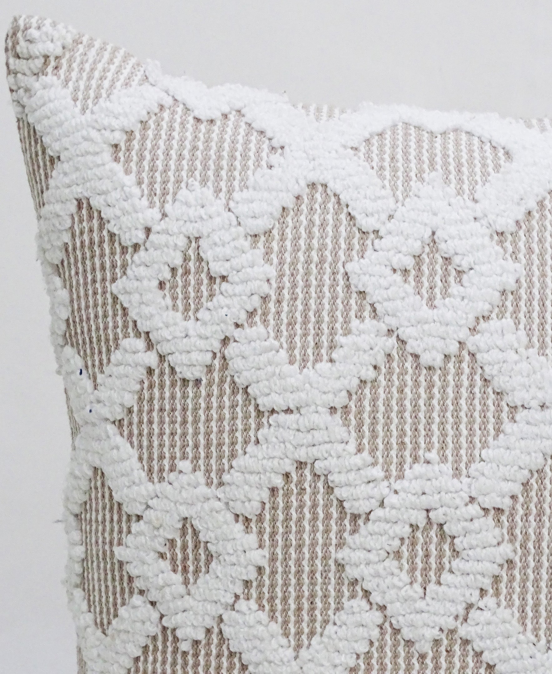 Decorative Beige Accent Throw Pillow 20x20 Inch